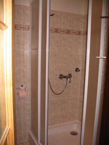 a shower with a glass door in a bathroom at Apartmany Ingeborg in Jáchymov
