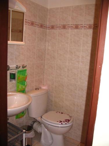 a bathroom with a toilet and a sink at Apartmany Ingeborg in Jáchymov