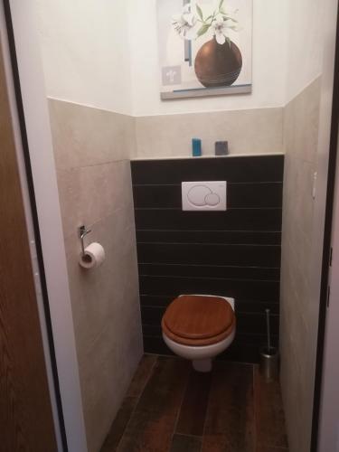 a bathroom with a toilet with a wooden toilet seat at Ferienhof Unterführholzergut in Klaus