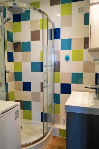 une salle de bain avec douche et lavabo dans l'établissement Appartement à 2min du plan d'eau, à Vichy