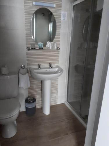 a bathroom with a sink and a shower and a toilet at Jim McGee's in Wexford