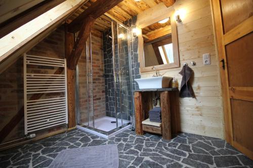 a bathroom with a shower and a sink at Fw. Aschbergblick Anno Dazumal in Klingenthal