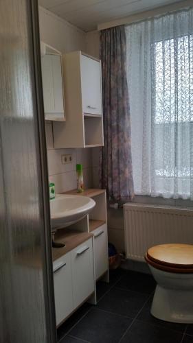 a bathroom with a sink and a toilet and a window at Ferienhaus Benneckenstein in Benneckenstein
