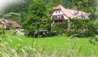 a large green field with a house in the background at Hotel-Restaurant Kohlenbacher-Hof in Waldkirch
