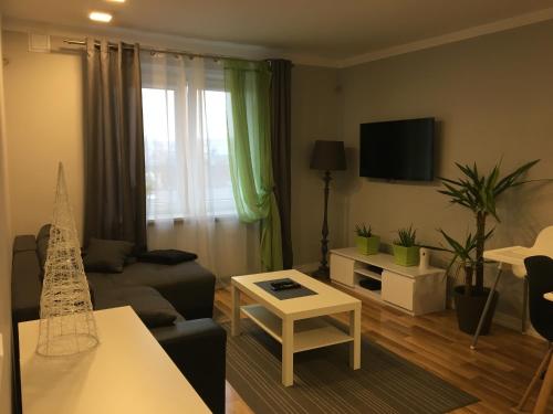 Televisyen dan/atau pusat hiburan di Family & Business Elegant Apartments Rynek Centrum Downtown - 2 Bedroom, Balcony, Parking