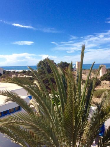 a palm tree in front of the beach at Hotel Villa Soleil in Sidi Kaouki