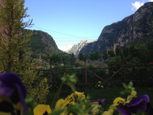 a view of the mountains with flowers in the foreground at Artemis Apartments in Konitsa