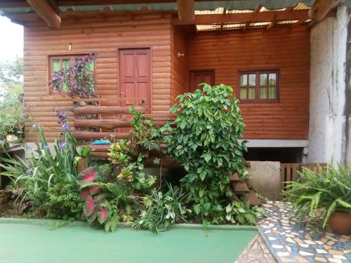 une cabane en rondins dotée d'une terrasse couverte avec des plantes devant elle dans l'établissement Complejo Remitur, à Puerto Iguazú