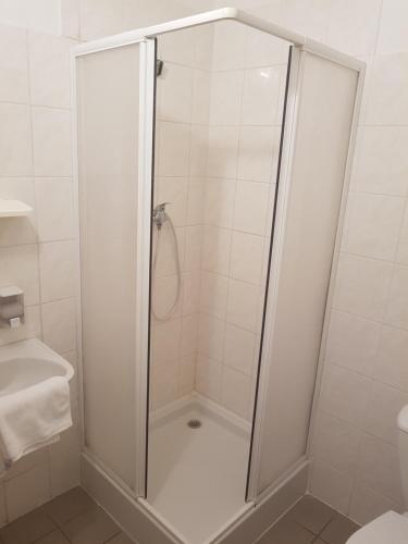 Kostelec na Hané的住宿－RATOMAS, s.r.o.，浴室里设有玻璃门淋浴