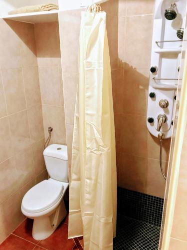 a bathroom with a toilet and a shower curtain at Casa da Escola Antiga in Manteigas