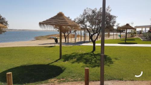 a grassy field with an umbrella on the beach at Casa da tia Bina in Monsaraz