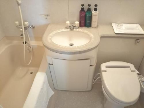 a white bathroom with a sink and a toilet at Sky Hotel Namerikawa in Namerikawa