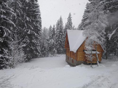 a cabin in the snow in a forest at Chata Živa pod Babou horou in Oravská Polhora