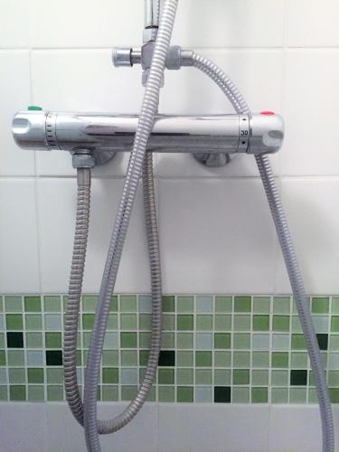 La salle de bains est pourvue d'une pomme de douche et de carrelage vert. dans l'établissement Studio proche Mériadeck, à Bordeaux