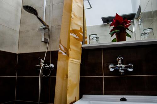 デヴァにあるPensiunea Georgibelのバスルーム(シャワー、洗面台、トイレ付)
