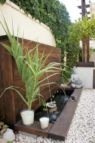 a garden with two potted plants and a pond at villa las tres perlas in Algorfa