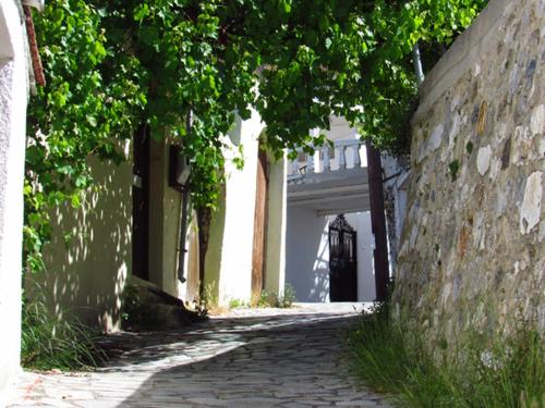 a cobblestone alley with trees and a wall at Domus Polymnia, hospitality at its best! in Spílion
