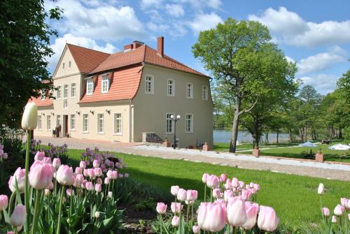 a house with pink tulips in front of it at Olandia in Kwilcz
