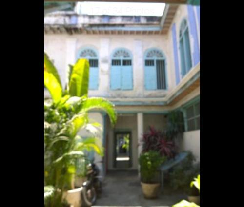 a house with blue windows and plants in front of it at Broad Lands in Chennai