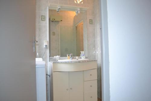 a bathroom with a sink and a mirror at Gites Rural De La Douix in Châtillon-sur-Seine