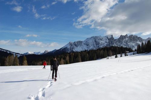 two people cross country skiing in the snow at Olympic SPA Hotel - Adults Only in Vigo di Fassa
