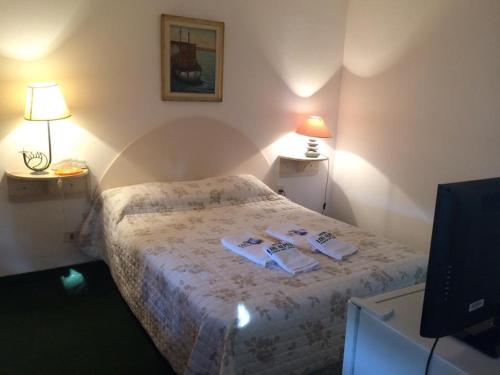 Cama o camas de una habitación en Alpes Hotel