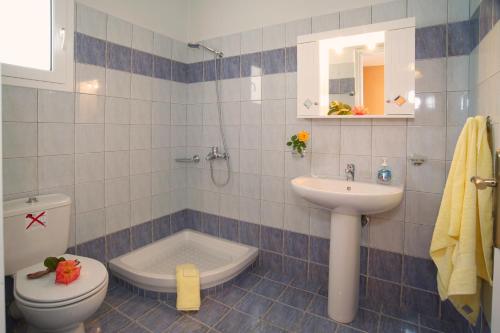 a bathroom with a toilet and a sink at Eleftheria Apartments in Vlachata