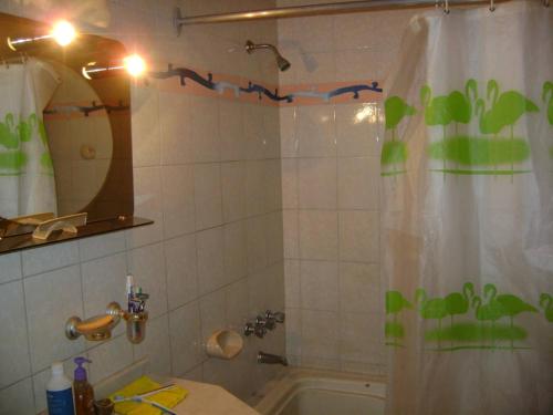 a bathroom with a shower curtain and a bath tub at Jardin Secreto Russell Maipu in Mendoza
