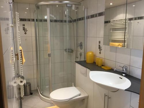 La salle de bains est pourvue d'une douche, de toilettes et d'un lavabo. dans l'établissement Casa Fluretta, à Flumserberg
