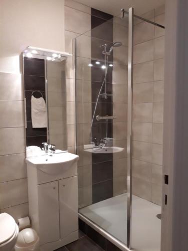a bathroom with a shower and a sink and a toilet at La Caravelle in Riom