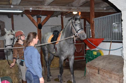 a woman standing next to a gray horse in a barn at Dworek Mazurski Lizer in Stręgielek