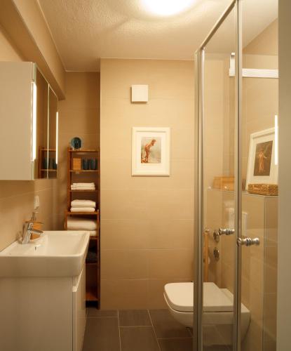 a bathroom with a shower and a toilet and a sink at Charming CHARLOTTE in Saarbrücken