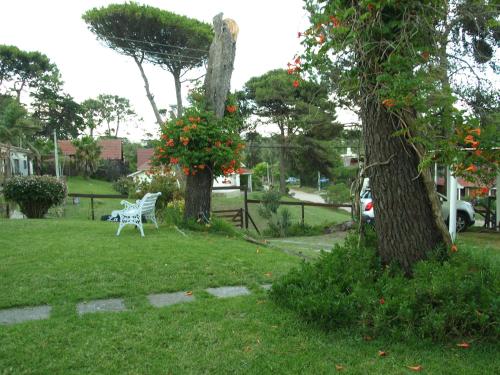 un banco blanco sentado en la hierba junto a un árbol en la Lomita Gesell de Villa Gesell
