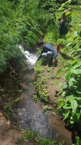 a person bending over to look into a stream at El Rincon Eco Hotel in Los Ángeles