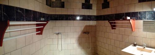 a bathroom with a shower and a sink at Villa Pistaches in Grand-Bourg