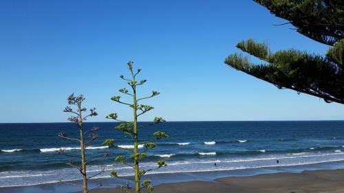 卡塔尼瑙麦汽车旅馆的相册照片