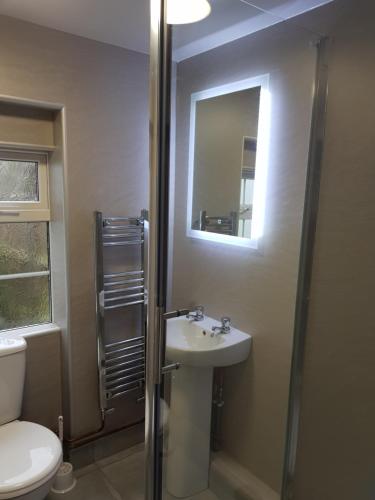 a bathroom with a toilet and a sink and a mirror at Oak Cottage in Burgh le Marsh