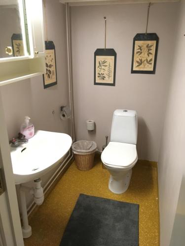La salle de bains est pourvue de toilettes blanches et d'un lavabo. dans l'établissement Lilla Vrån, à Lerbäcken
