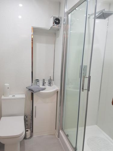 a bathroom with a shower and a toilet and a sink at Linlithgow Loch Apartment in Linlithgow