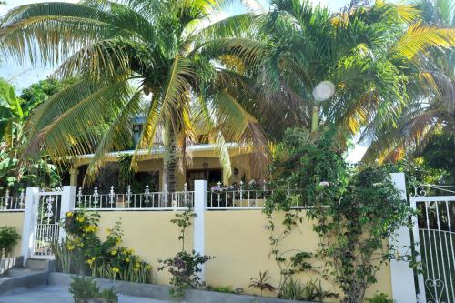 a house with palm trees behind a white fence at koeuris apartment in La Gaulette