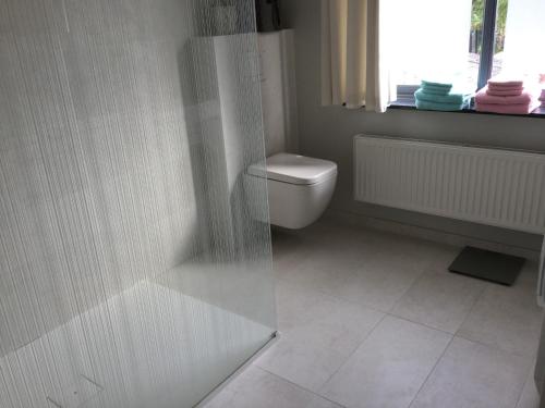 uma casa de banho branca com um WC e uma janela em Belle Vue Vakantieappartement em Genoelselderen