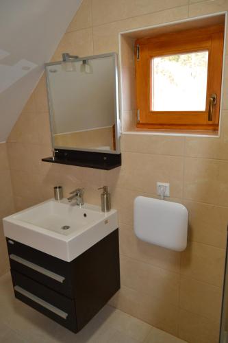 a bathroom with a sink and a mirror at Apartma & savna Slapnik in Luče