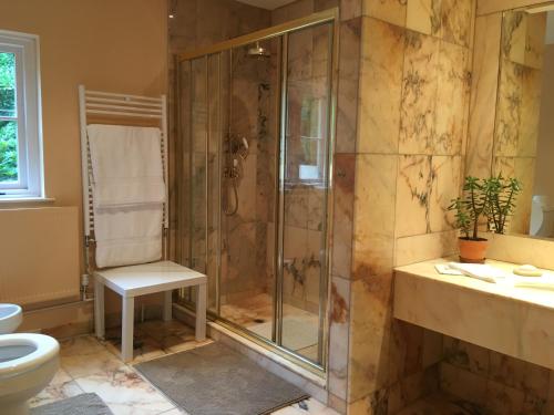 a bathroom with a shower and a toilet and a chair at Gweebarra in Holywood