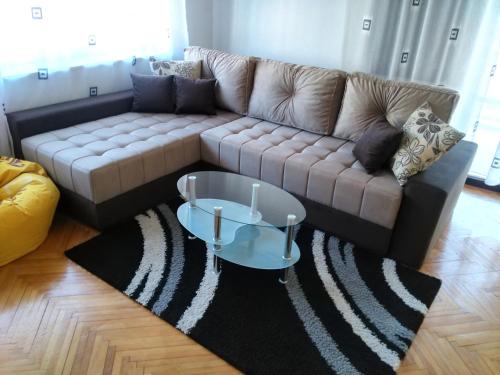 a living room with a couch and a coffee table at Apartment Premija in Vrdnik