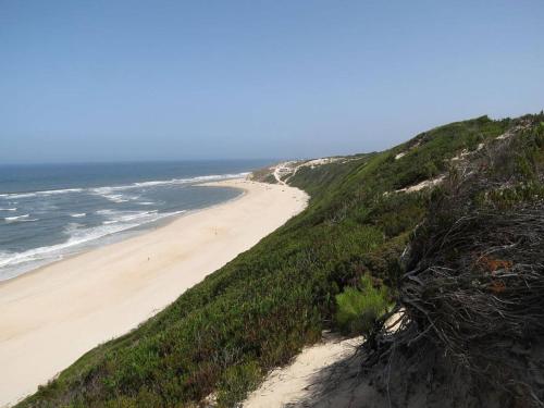 Imagen de la galería de Beach House, 50 meters from the sea, en São Pedro de Moel