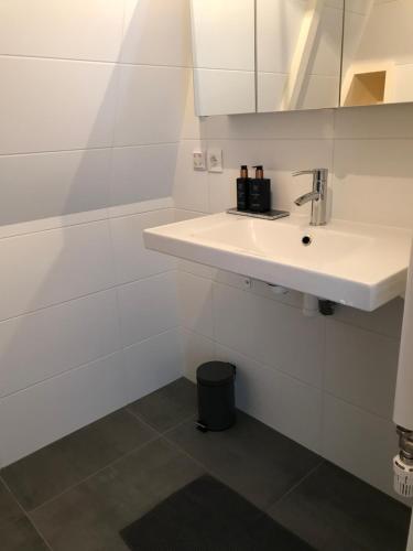 A bathroom at Koningshof XL