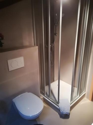 a bathroom with a toilet and a shower at Landhaus Irma in Bad Füssing