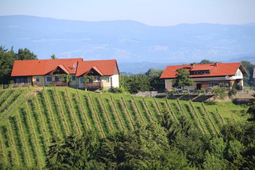 a house on top of a hill next to a vineyard at Weingut Sternat vlg. Schmalzpeter in Arnfels
