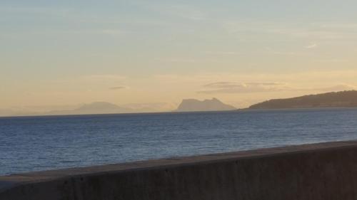 Sea shells at Bahia Dorada photo 26