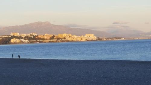 Sea shells at Bahia Dorada photo 24